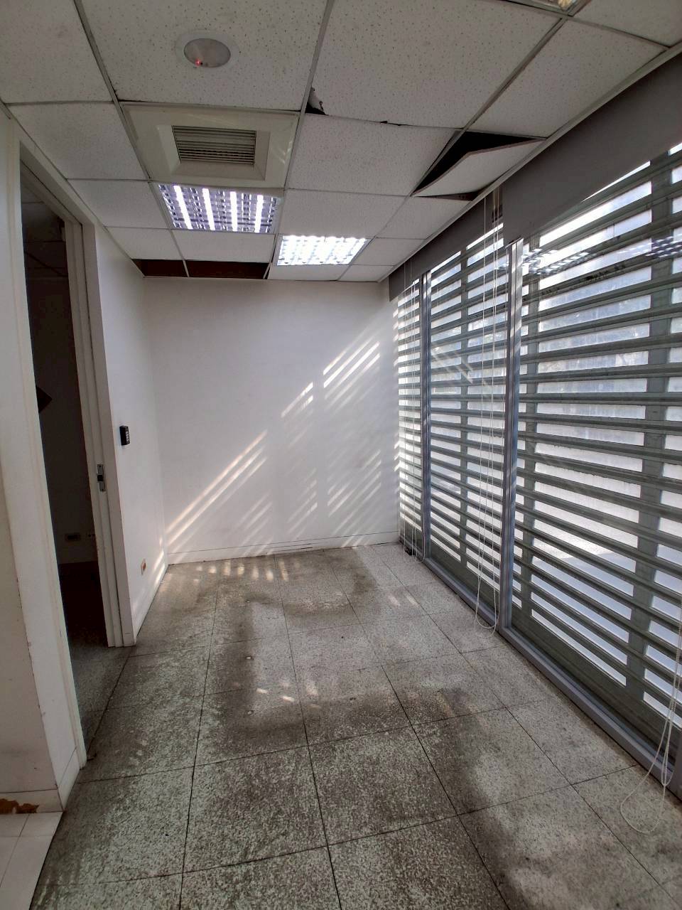 �a�ֺ֥����Ӱ������/���X�k/���/�E��/������(JBF58)