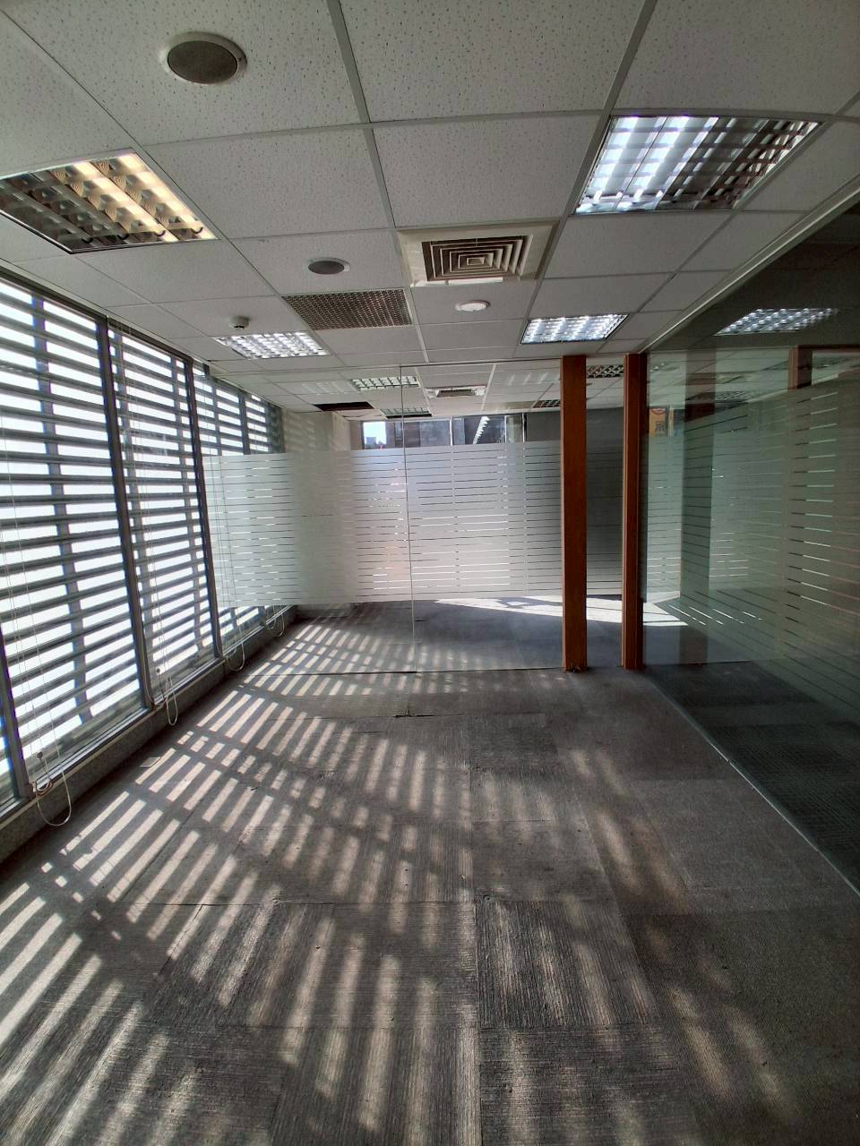 �a�ֺ֥����Ӱ������/���X�k/���/�E��/������(JBF58)