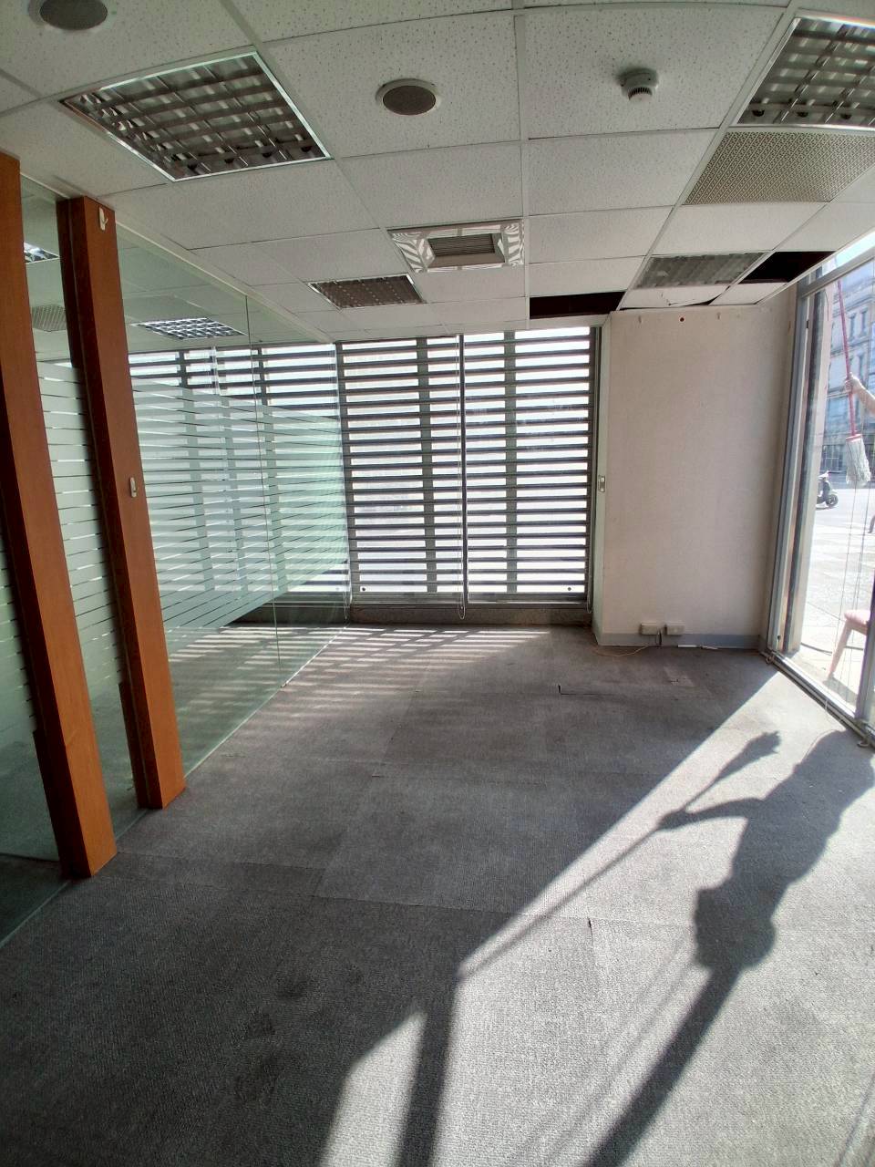 �a�ֺ֥����Ӱ������/���X�k/���/�E��/������(JBF58)