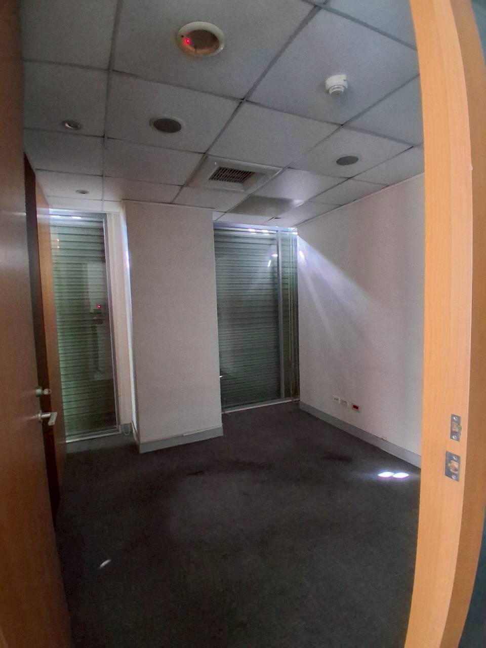 �a�ֺ֥����Ӱ������/���X�k/���/�E��/������(JBF58)