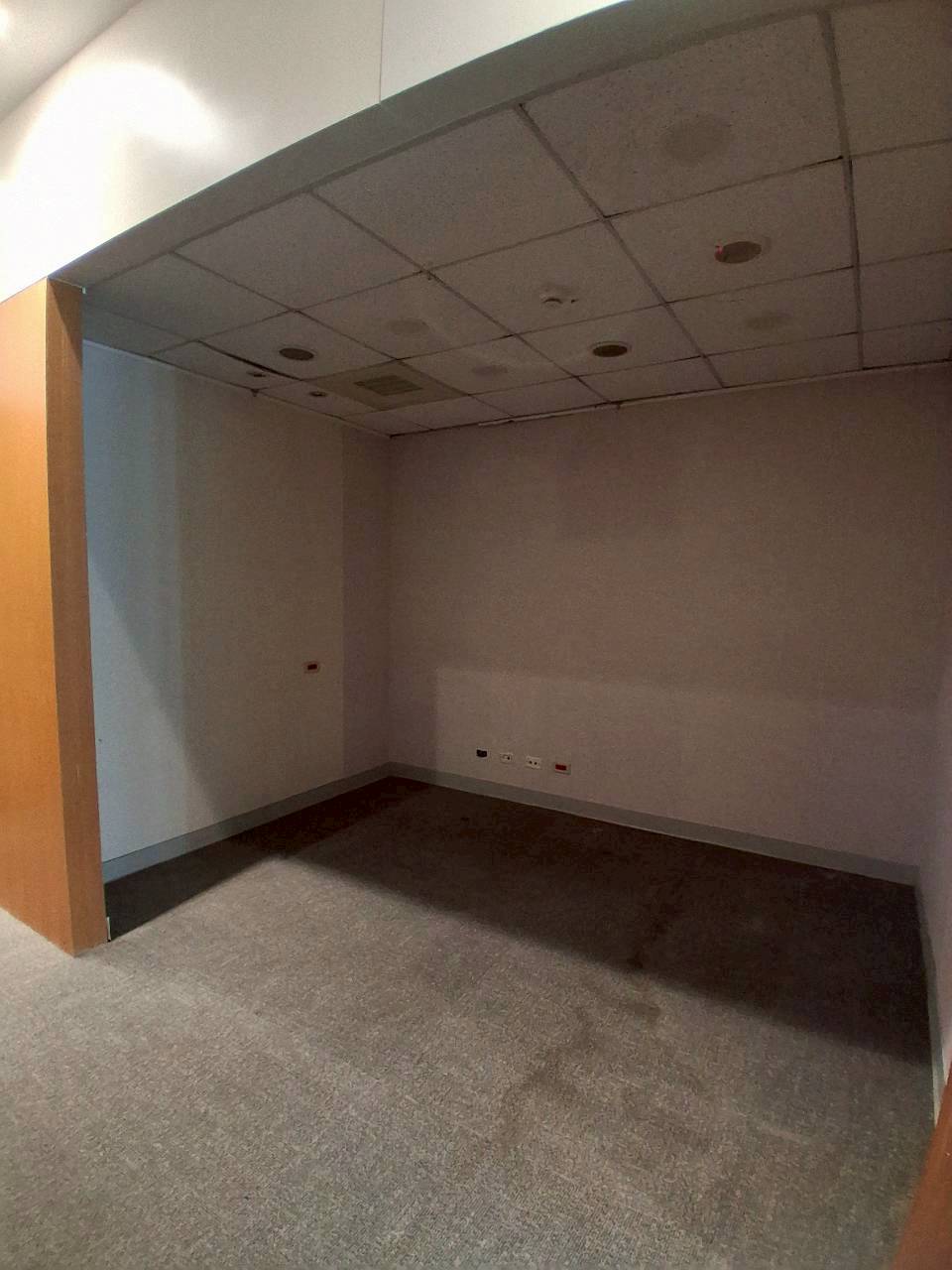 �a�ֺ֥����Ӱ������/���X�k/���/�E��/������(JBF58)