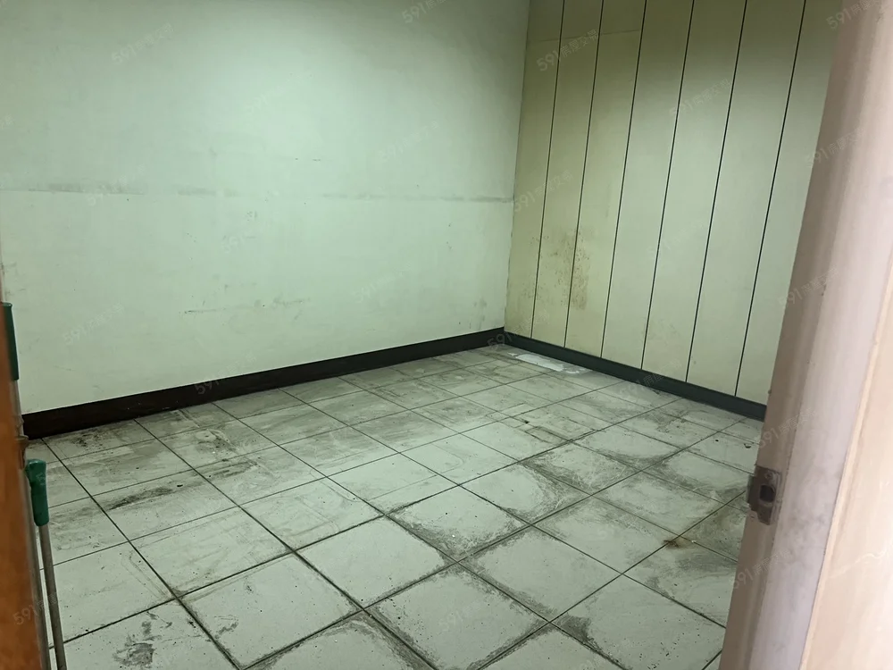 ���_�Ӱ������/���Ʃ����G���/���~/�줽��(H54)