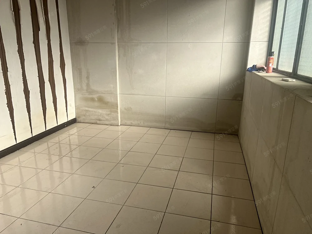 ���_�Ӱ������/���Ʃ����G���/���~/�줽��(H54)