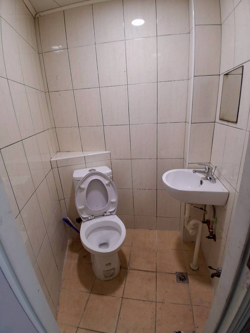 ���_�Ӱ������/�\������/�����X�@/�ʷ~�ҥi(H67)