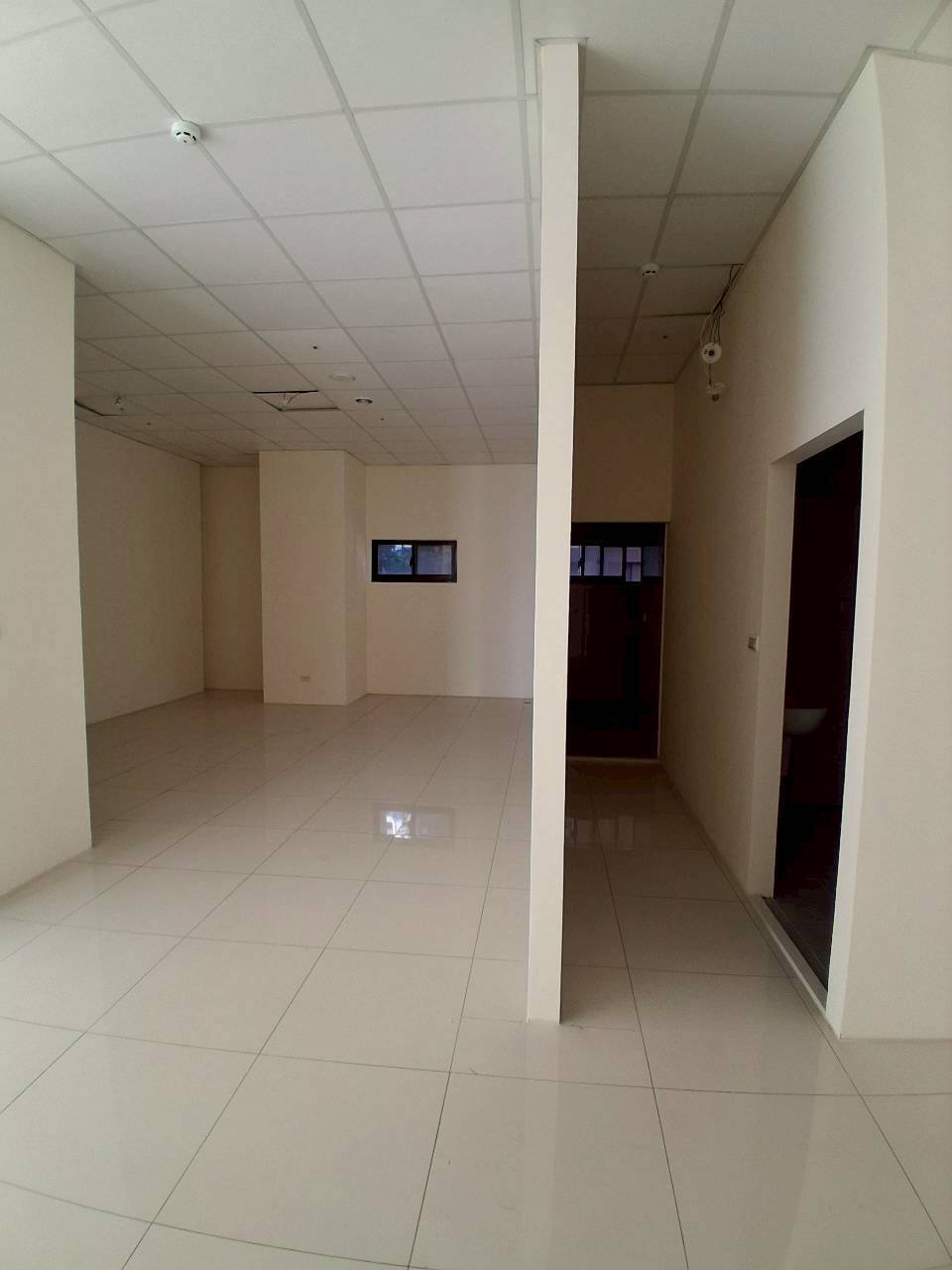 �M��/�j���ʳߵn�Ӱ�/���X�k/�j�W��/���/������(JBF54)