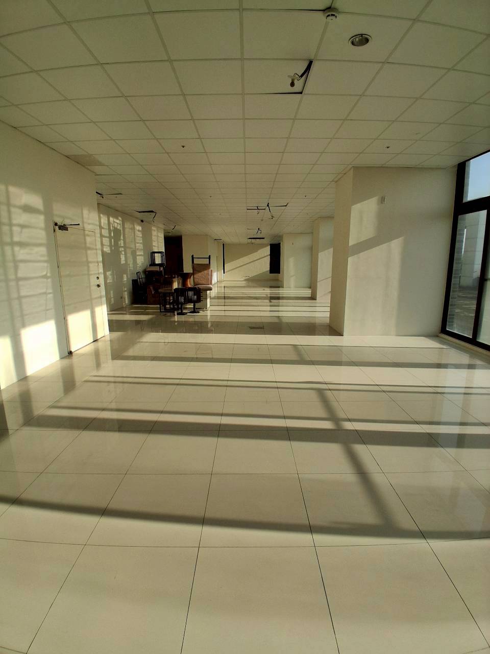 �M��/�j���ʳߵn�Ӱ�/���X�k/�j�W��/���/������(JBF54)