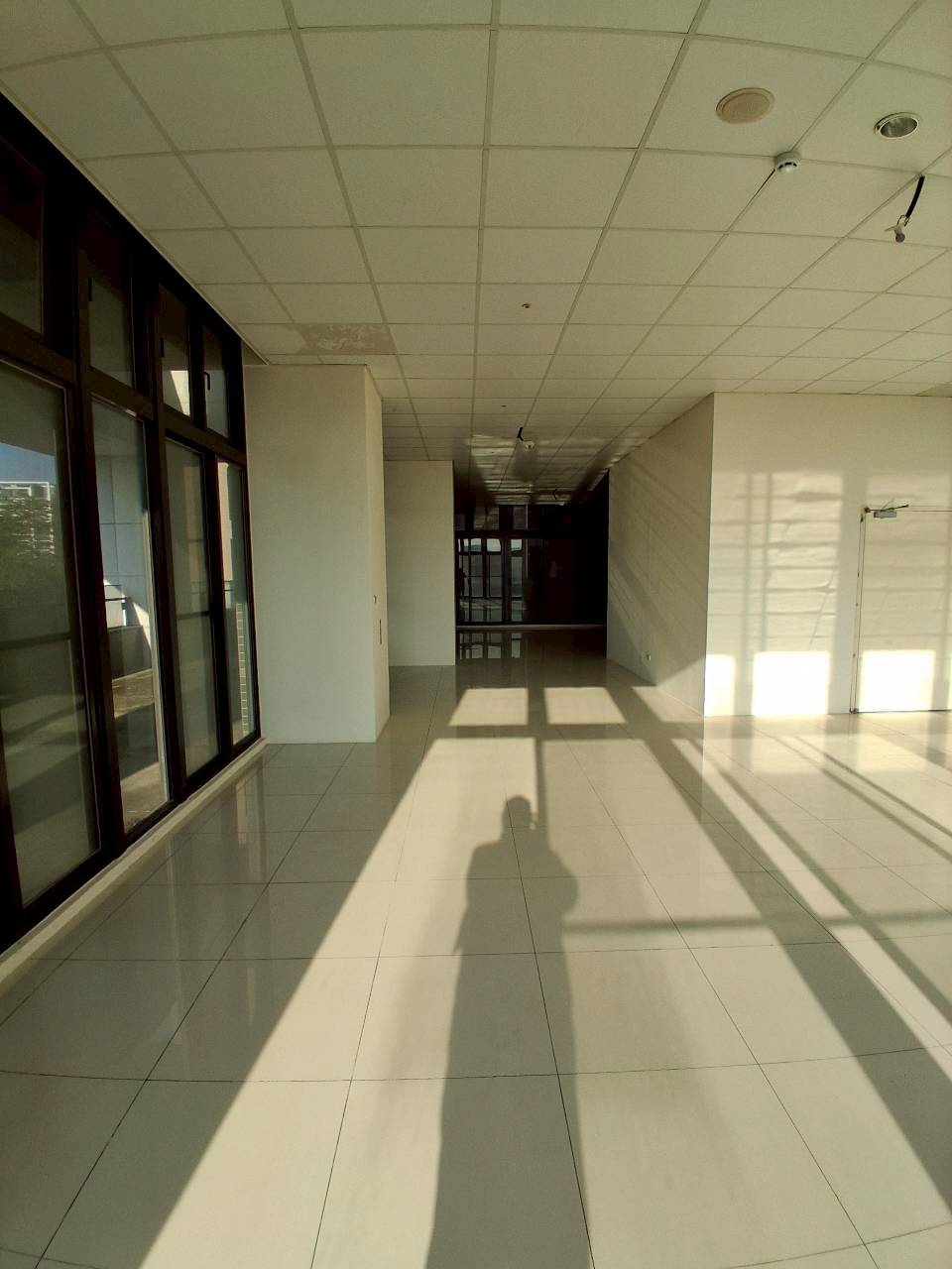 �M��/�j���ʳߵn�Ӱ�/���X�k/�j�W��/���/������(JBF54)