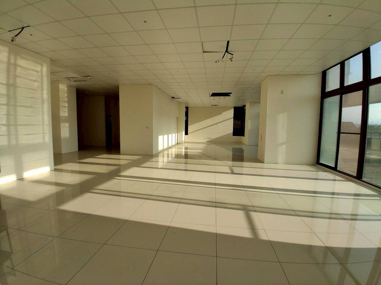 �M��/�j���ʳߵn�Ӱ�/���X�k/�j�W��/���/������(JBF54)