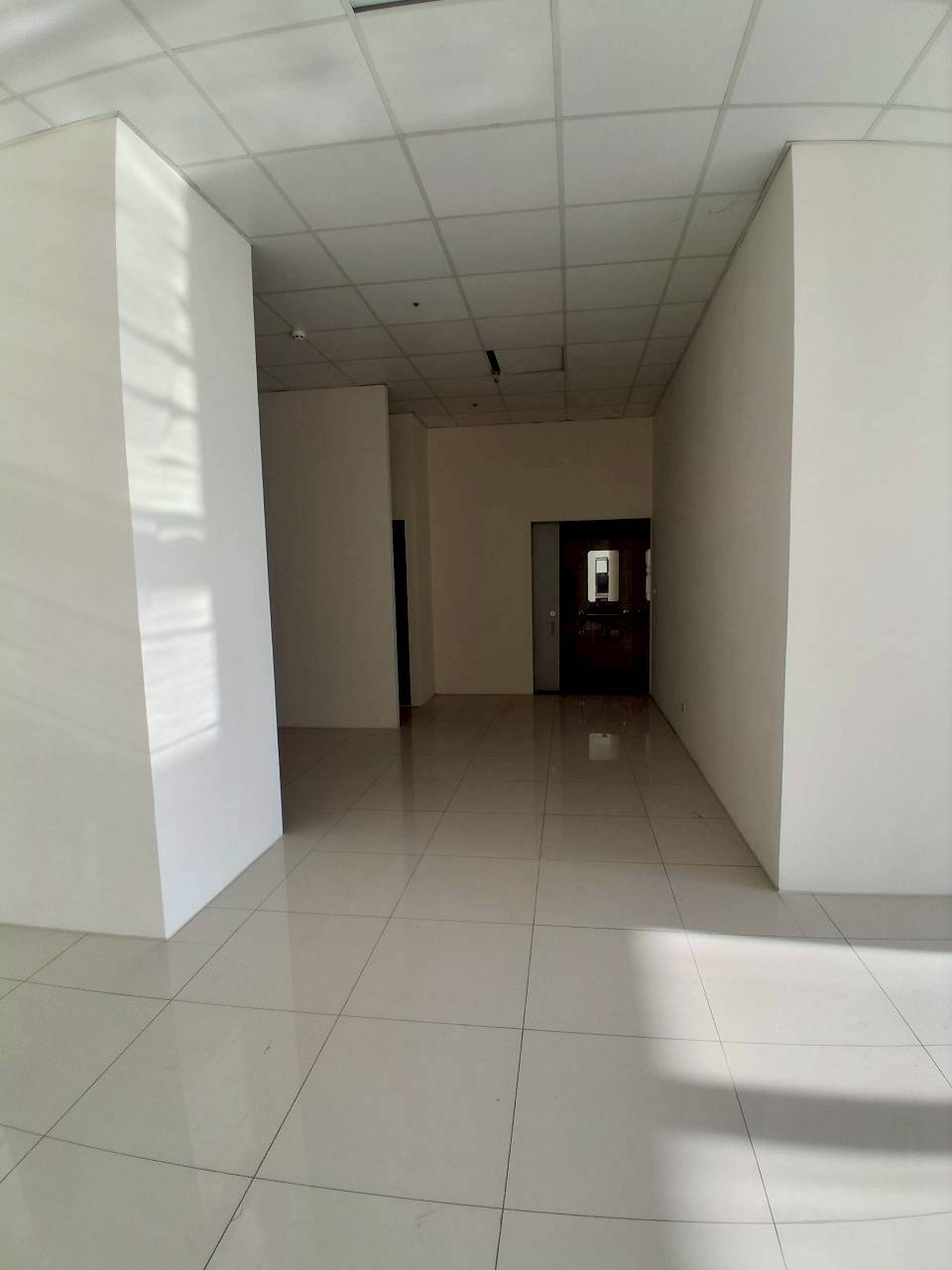 �M��/�j���ʳߵn�Ӱ�/���X�k/�j�W��/���/������(JBF54)