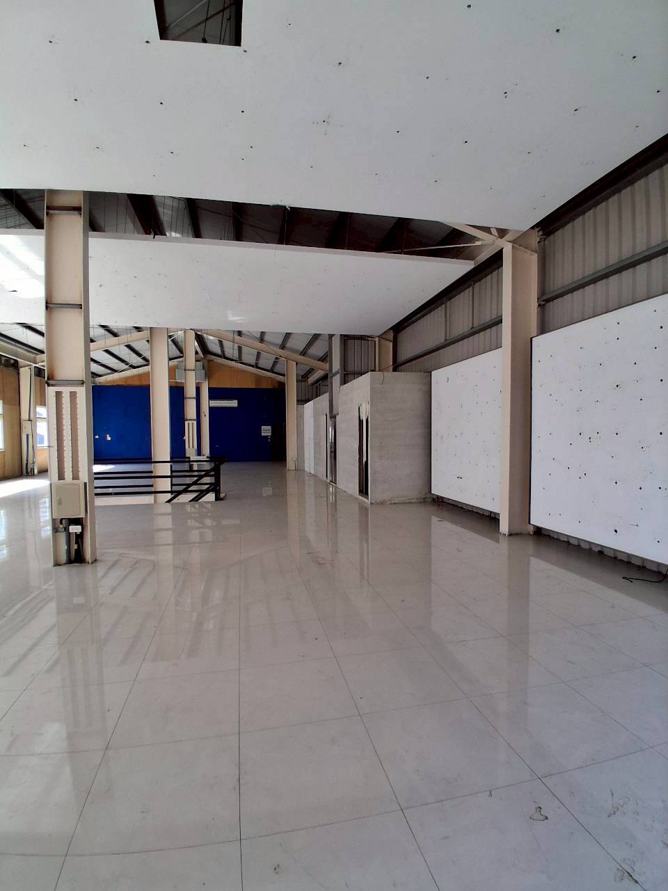 �ߨӵn�j�������Ӱ�/�����T����/�j���e����(JBF32)