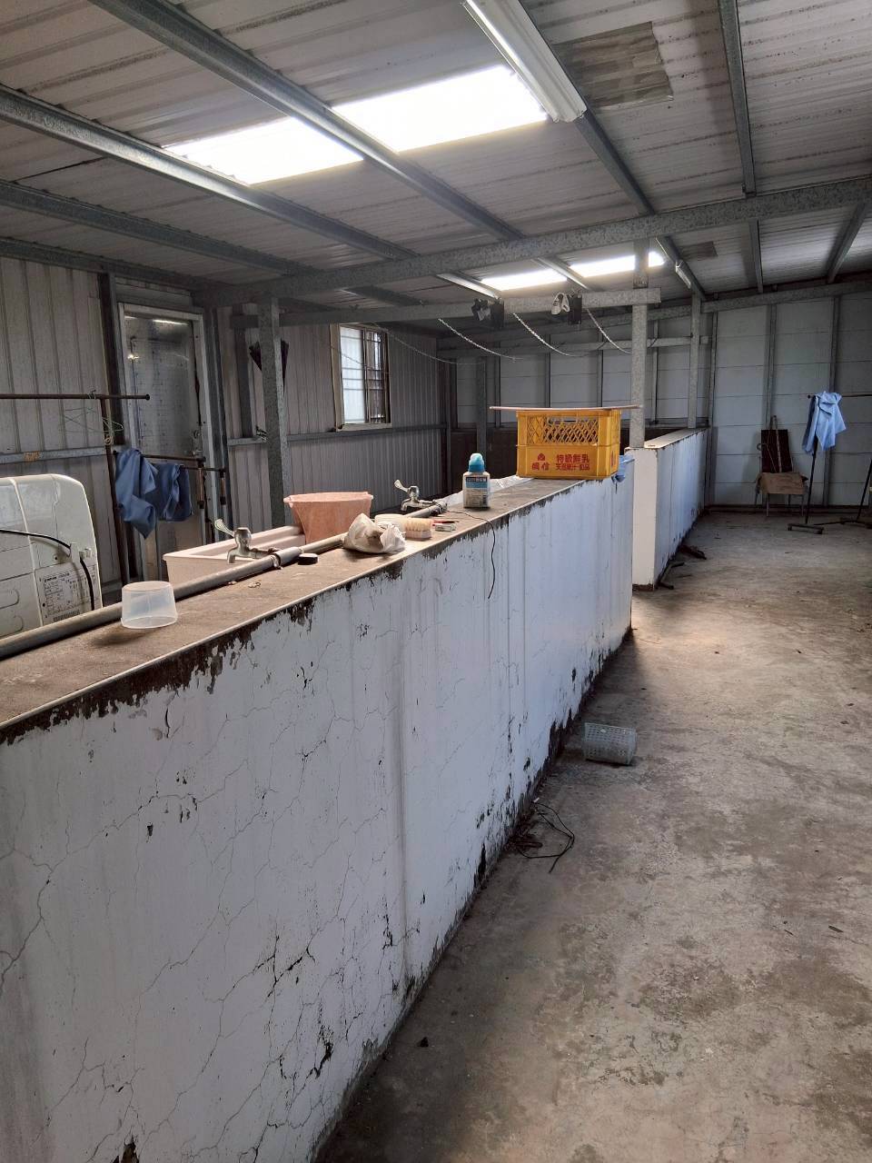 �x���\�U������/�ˤl�\�U/�a�W�������W/���ʩW������(H179)